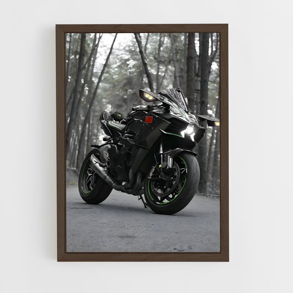 Poster Ninja élégant hr (vue 5)